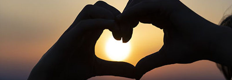 Cagnotte en hommage à M. Fr&eacute;d&eacute;ric HENCELLE