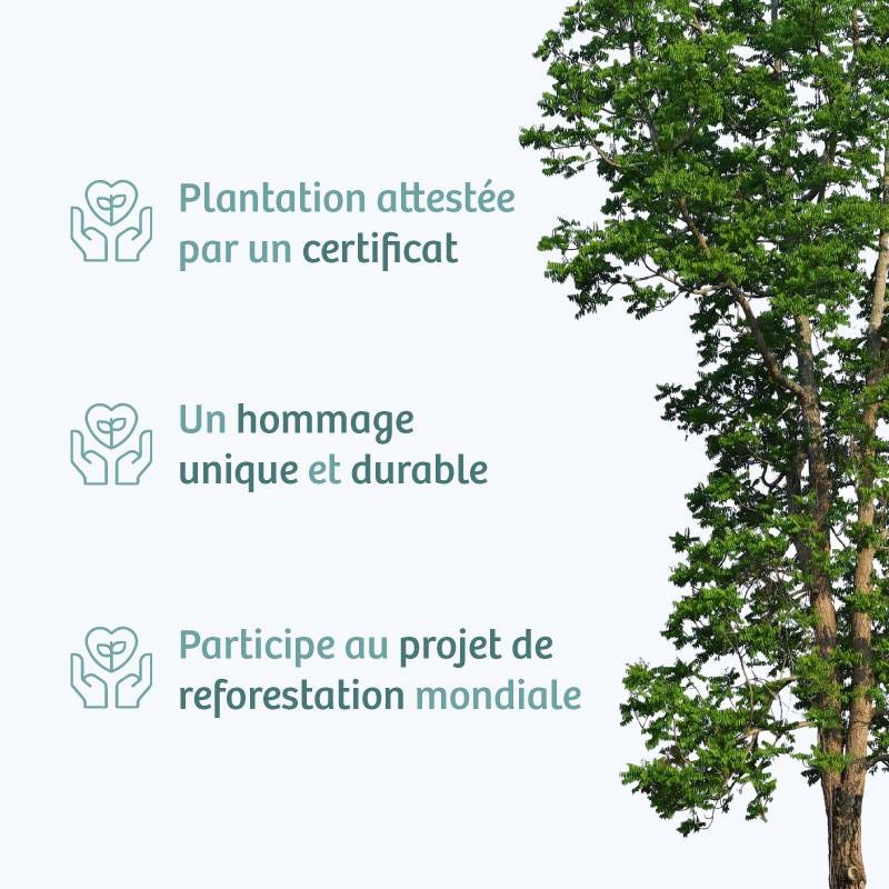 Planter un arbre en hommage à Herr Pierre BÉRAUD